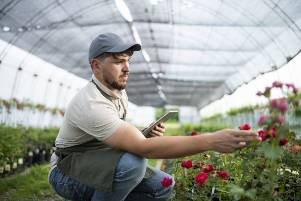 在园艺中心工作的男子正在用平板电脑检查鲜花。图片下载