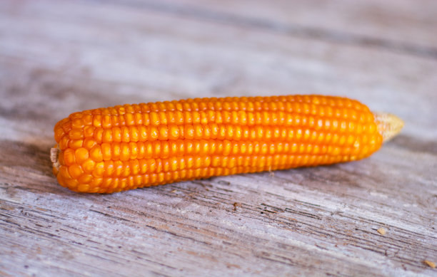 旧木桌上的一根麦穗图片下载