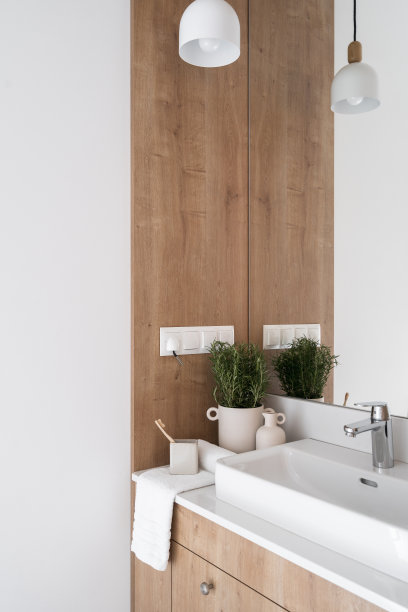 酒店盥洗室，有洗脸盆，水龙头和室内植物图片下载