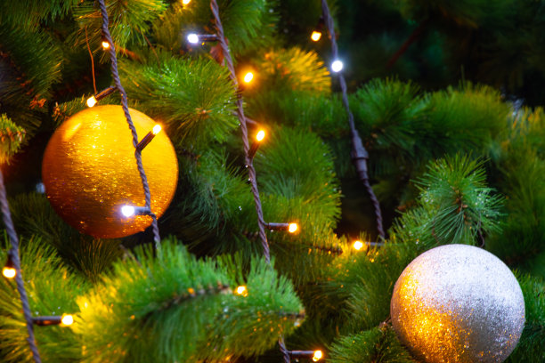 街道上的圣诞树作为背景图片下载