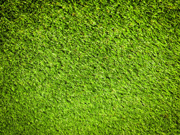 以天然的绿草为背景进行设计图片下载