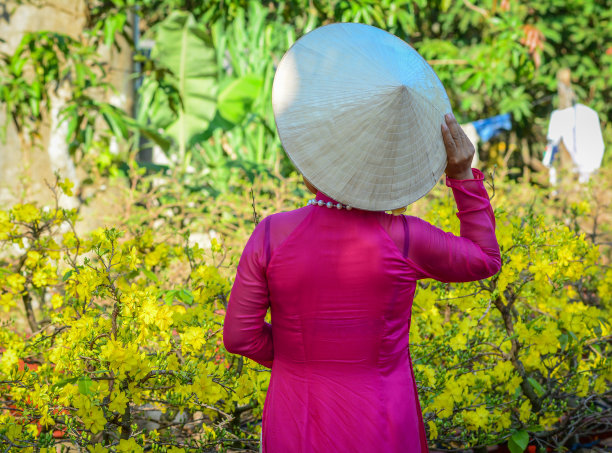 穿着传统服装的越南妇女图片下载