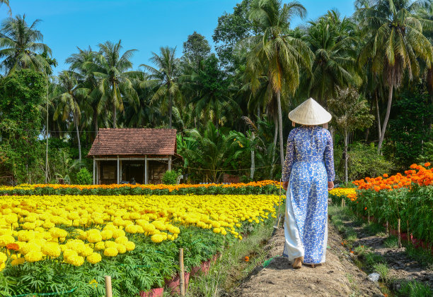 穿着传统服装的越南妇女图片下载