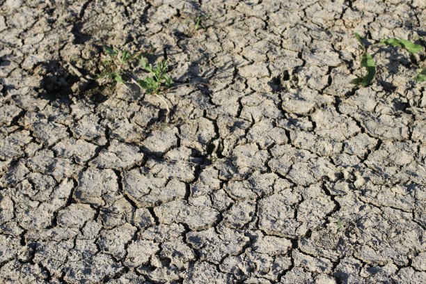 全球变暖的后果图片下载