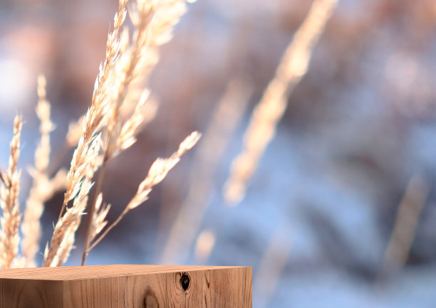 冬季展览平台。木制化妆品陈列柜。三维渲染图片下载