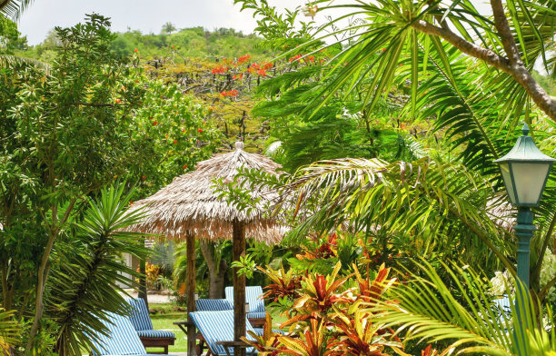 带草屋和躺椅休息室的热带花园图片下载