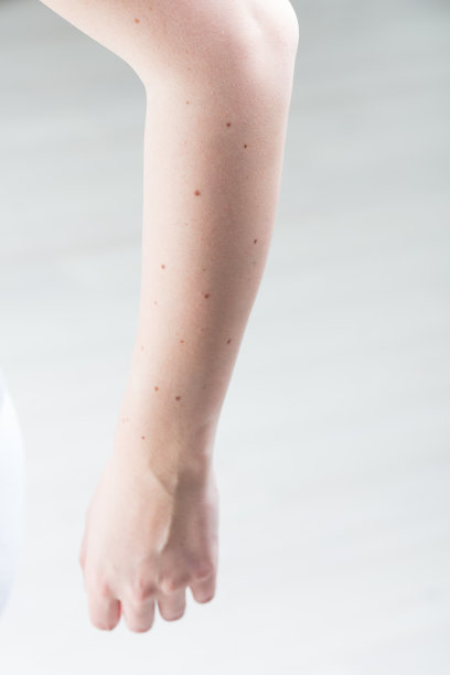 前臂结构:两根骨头，多块肌肉图片下载