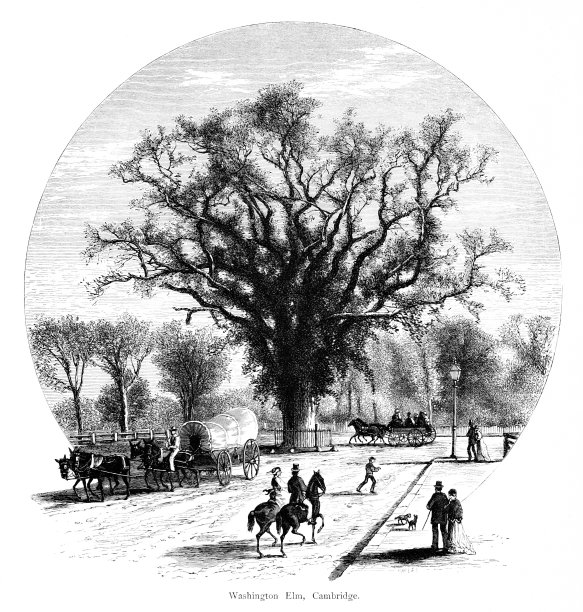 剑桥，马萨诸塞州，美国，《美国地理》图片下载