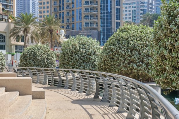 休闲区步道与造型树木绿廊：迪拜城市景观图片下载
