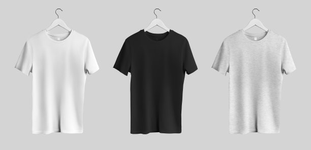 衣架上的白色，黑色，石南t恤的模型，正面视图，男性服装孤立在背景中。集。图片下载