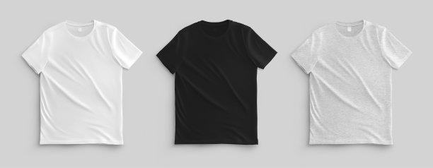 模板的白色，黑色，石楠布局t恤，正面视图，男性服装与标签，孤立的背景。集图片下载