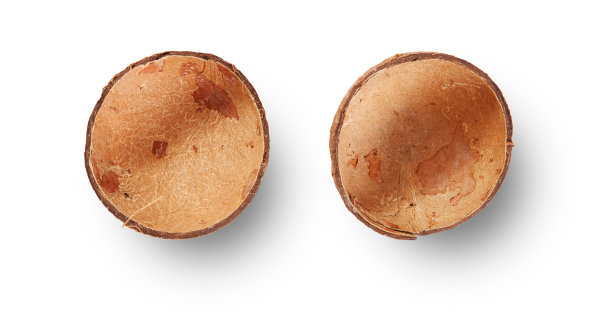 椰子空壳与阴影顶视图孤立的白色图片下载