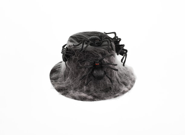 万圣节的帽子与蜘蛛网和蜘蛛隔离在白色的背景图片下载