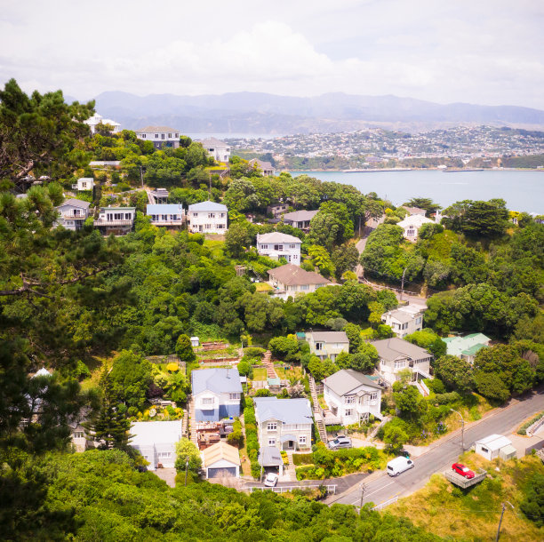 新西兰惠灵顿山坡上的房子图片下载