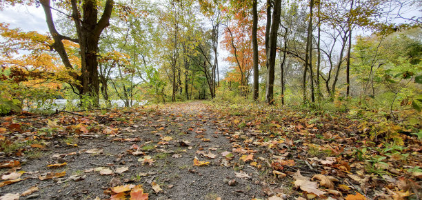 宾夕法尼亚州阿勒格尼国家森林山胡桃溪徒步小径图片下载