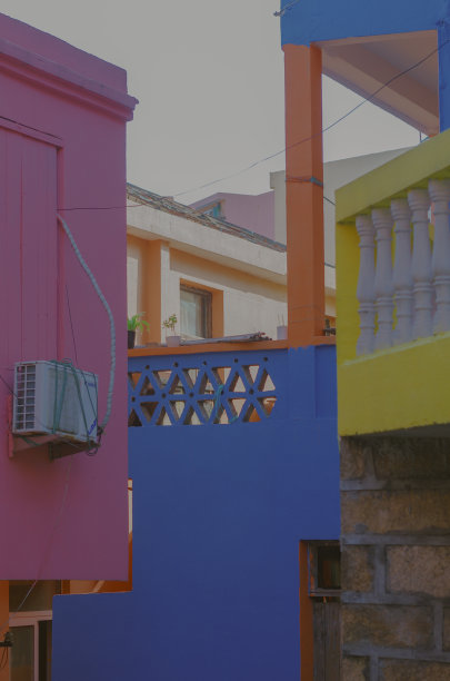 拍摄于中国台州温岭小若村图片下载