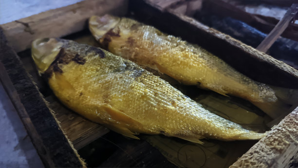 保存鱼类图片下载