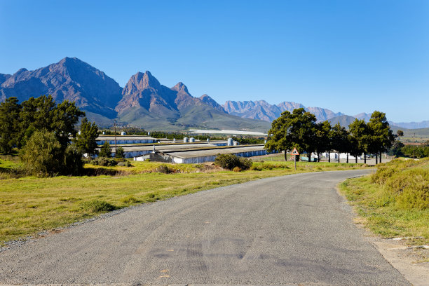 一条柏油路穿过树林，通往南非伍斯特附近的养鸡场。图片下载