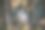 在一个阳光明媚的下午，雄伟的白狼穿过茂密的森林图片下载