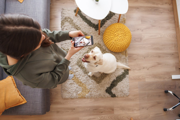 给她的狗拍照的女人图片下载