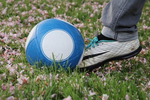 有人在樱花树下踢足球图片下载