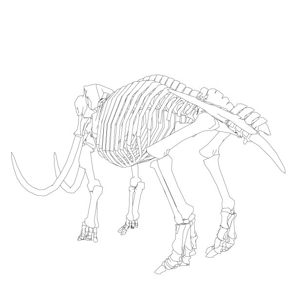 矢量插图的轮廓猛犸象骨架上孤立的白色背景。矢量史前轮廓骨架的猛犸象在白色背景孤立的插图图片下载