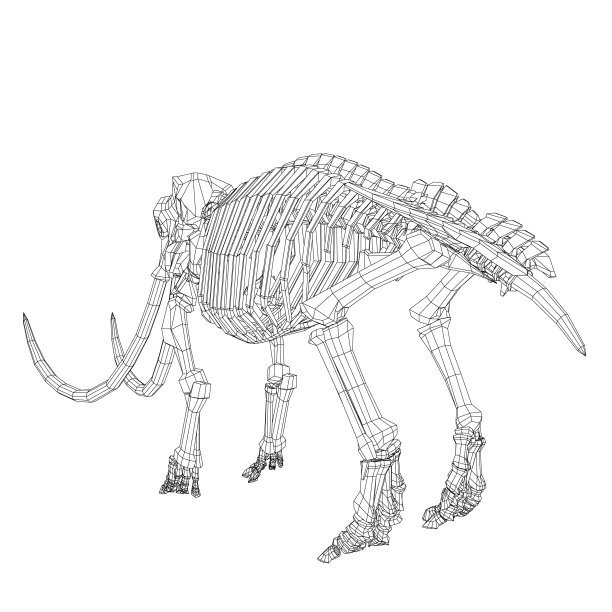 线框猛犸骨架在孤立的白色背景上的矢量插图。矢量史前线框骨架猛犸象在白色背景孤立的插图图片下载