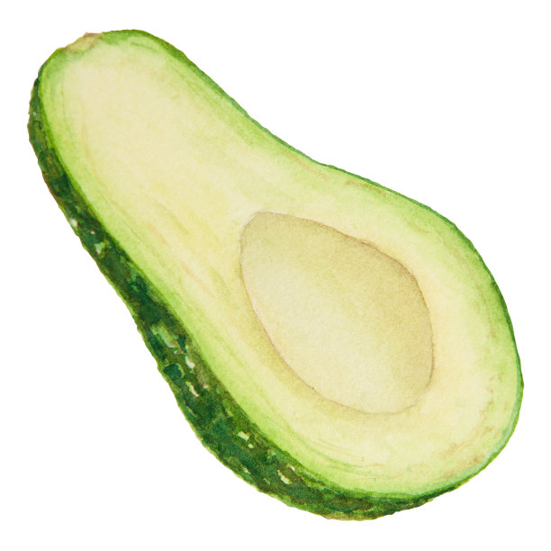 牛油果半水彩手绘写实插图。绿色和新鲜的艺术沙拉，酱，鳄梨酱，冰沙的成分。用于纺织品、菜单、卡片、纸张、包装设计图片下载