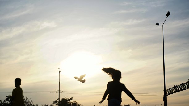 追鸟的女孩图片下载