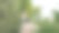 小女孩坐在森林里的一块石头上，看着相机图片下载