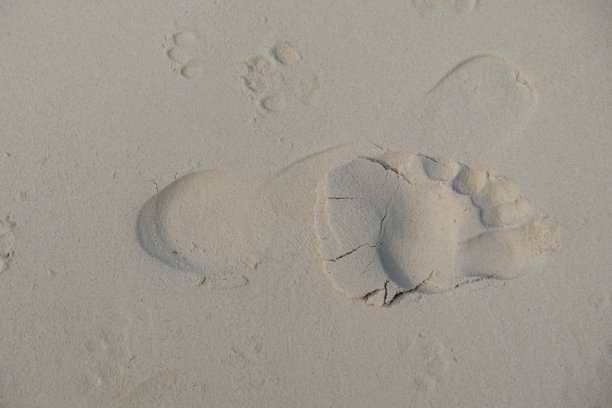 沙滩上的脚印图片下载