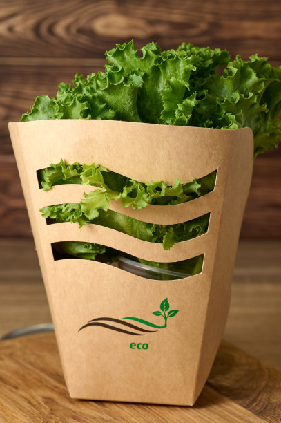 新鲜的绿色生菜在卡通盒子里图片下载