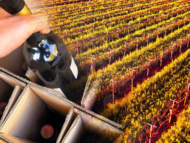 葡萄酒装在盒子里图片下载