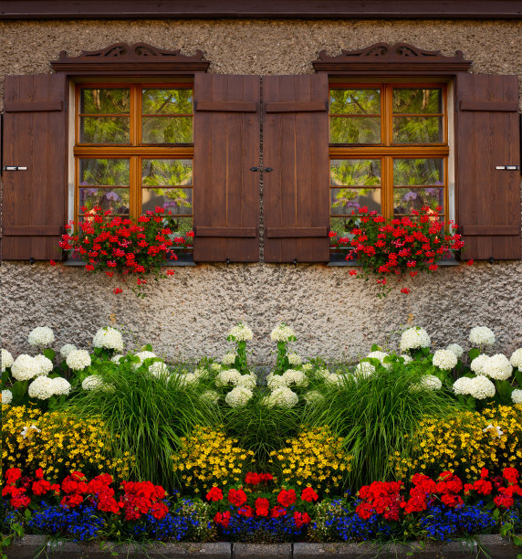 房子窗户的背景上有美丽的花朵图片下载