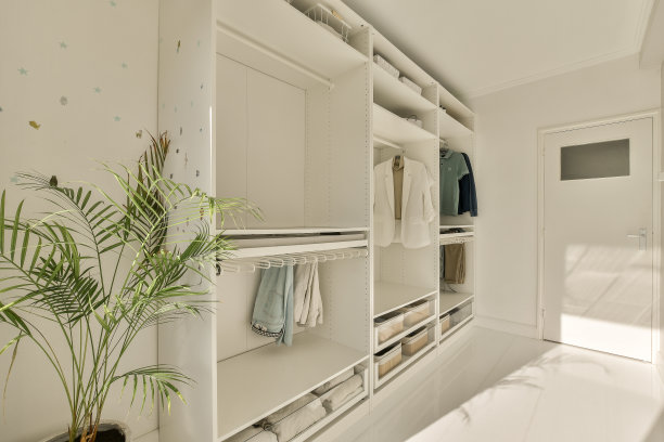 一个白色的大壁橱，里面有一棵植物图片下载