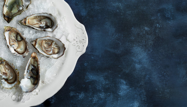 蓝色背景上的牡蛎图片下载