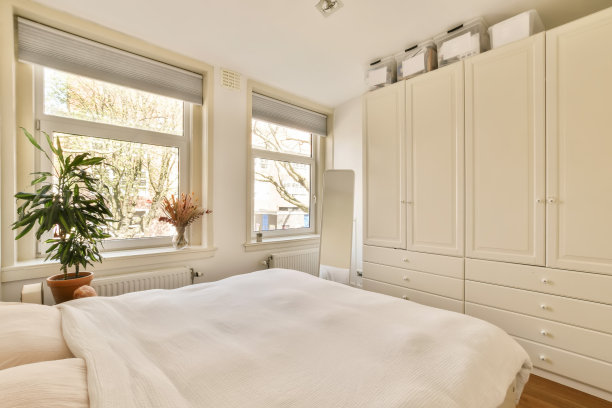 卧室里有一张床和一个白色的大壁橱图片下载