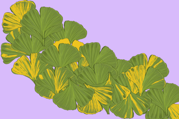 银杏叶图片下载