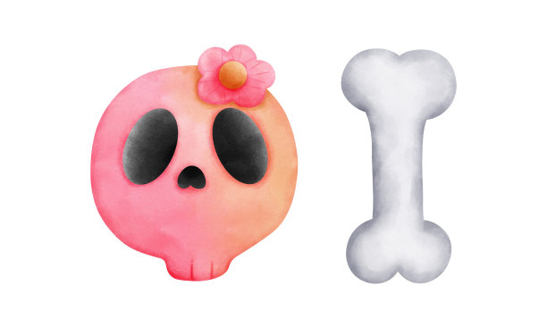 水彩画可爱的头骨与粉红色的花和骨骼插图孤立的白色背景。图片下载