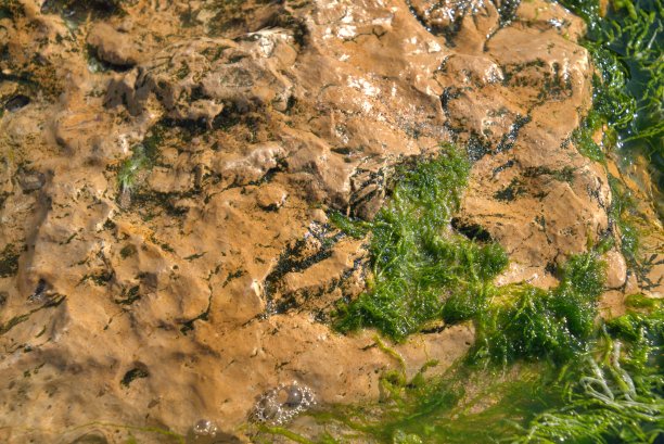 湿河岩图片下载