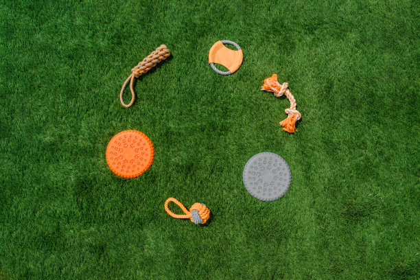 套橙色破布和橡胶玩具的狗合成草，布局，硬光图片下载