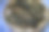 一张特写照片显示，脆脆的炒海藻和白芝麻在一个木制餐具上排成一排。图片下载