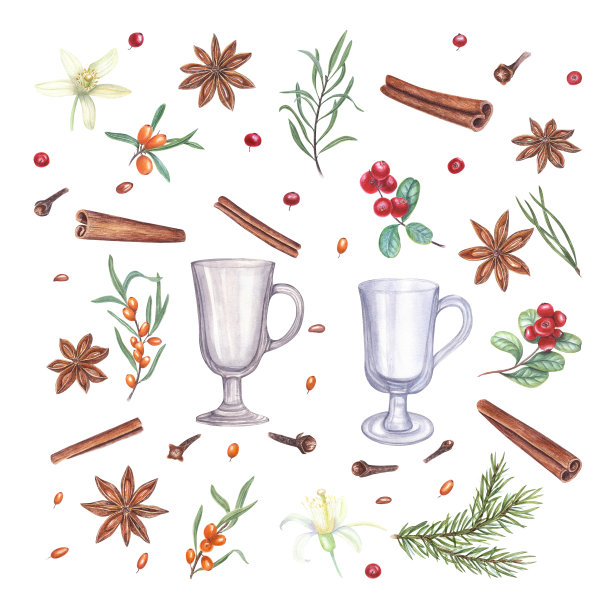一套圣诞香料，浆果，云杉枝，空热酒杯孤立的白色。肉桂，八角茴香，丁香，眼镜，沙棘，蔓越莓水彩插图图片下载