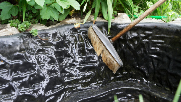 在私人郊区用刷子清理池塘。图片下载
