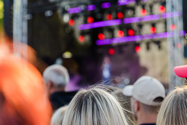 一大群人在看音乐会，盛夏时节，背景模糊。后面的观点。图片下载