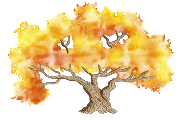 白色背景上的秋树水彩画图片下载