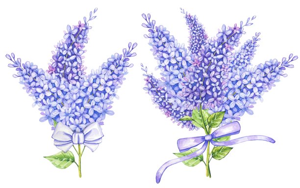 水彩花紫丁香花与紫色蝴蝶结图片下载