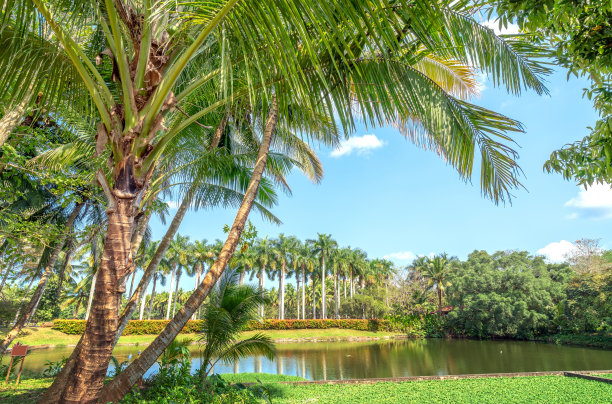 夏季热带景观图片下载