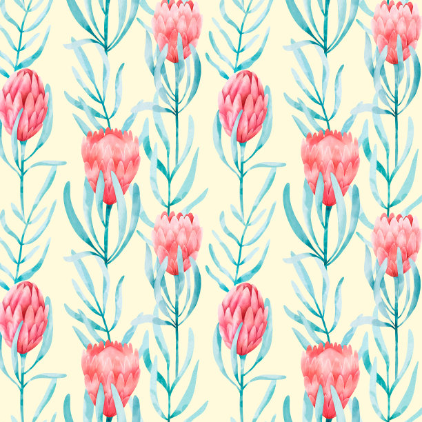 无缝图案与protea花在白色背景。数字水彩设计印刷图片下载