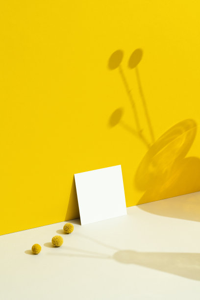 名片模型在黄色背景与花卉阴影。图片下载